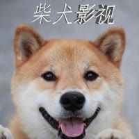 柴犬影视