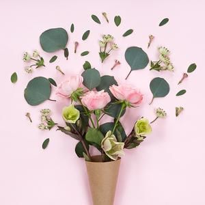 聊情感的小铅笔