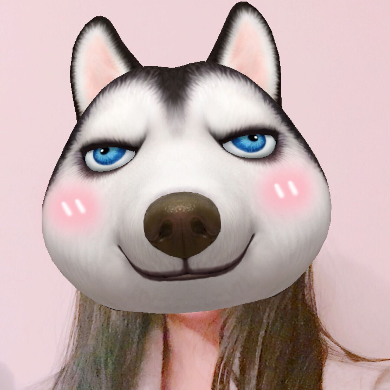 不可思议的Yuki酱