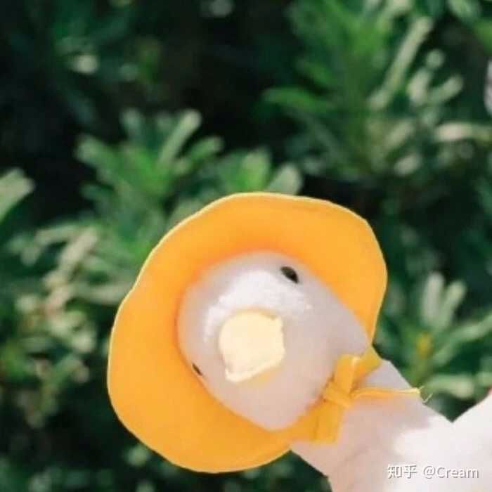 打开说娱乐