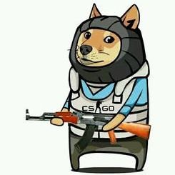 CSGO药丸