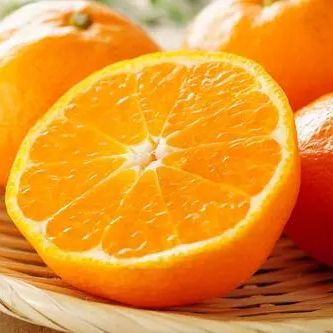 快乐旅行者分享快乐