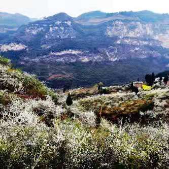 阿山的诗和远方