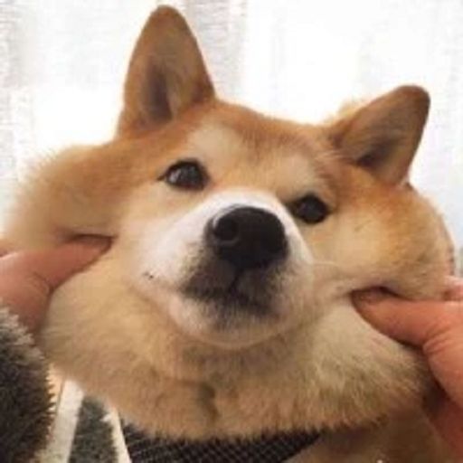 快乐学习生活百科