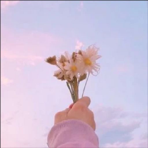 皇室经典音乐