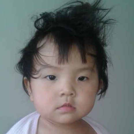 爱吃包子的加菲岩