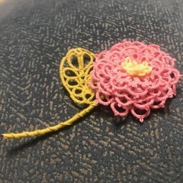 爱吃橙子的芒果