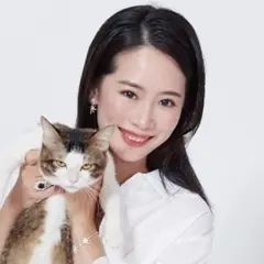 Annie服装搭配师