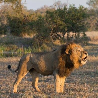 微风煮酒论地球