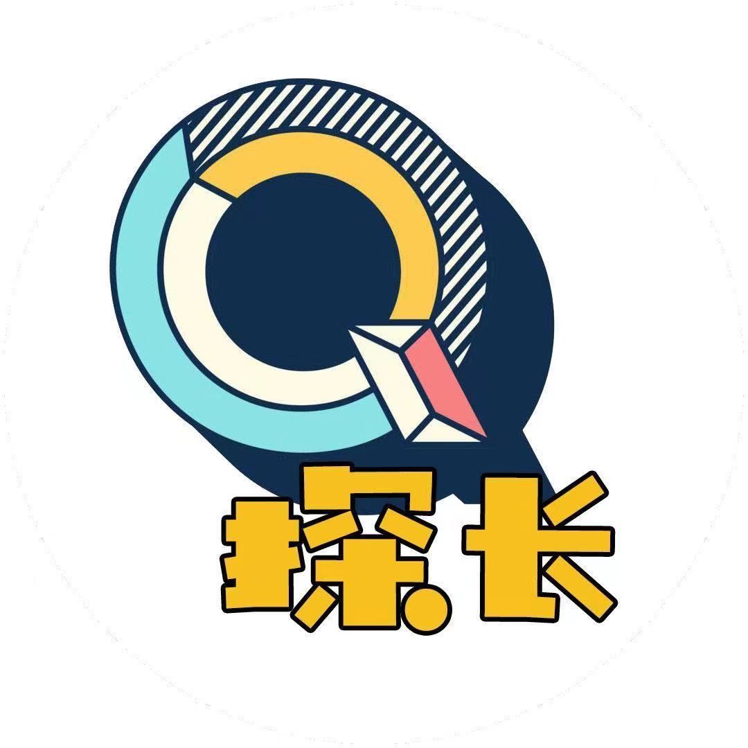 Q探长