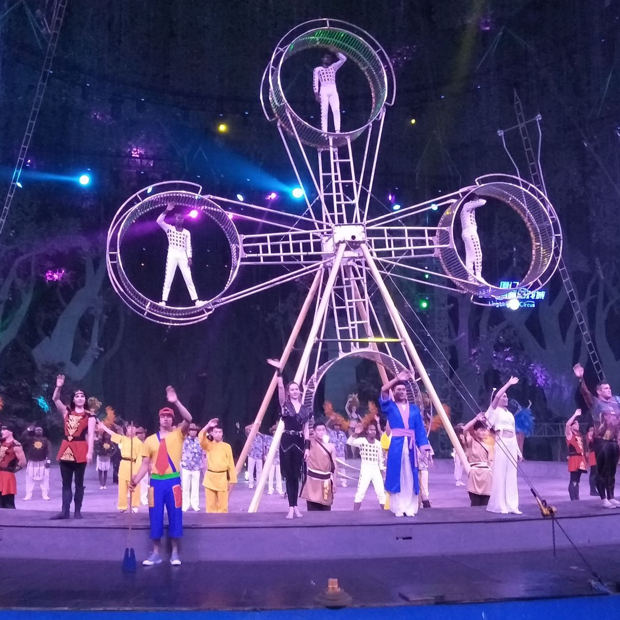 一只快乐的小猪儿