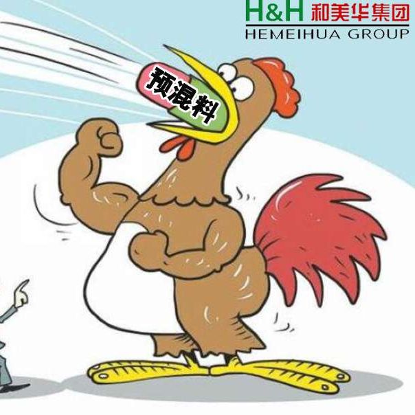 和美华专注预混料