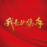 电影我是护旗手