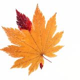 四夕先生的烹饪