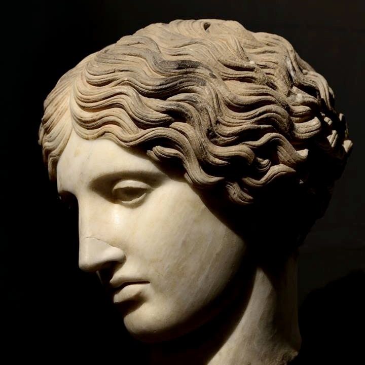 潘特西蕾的艺术文摘