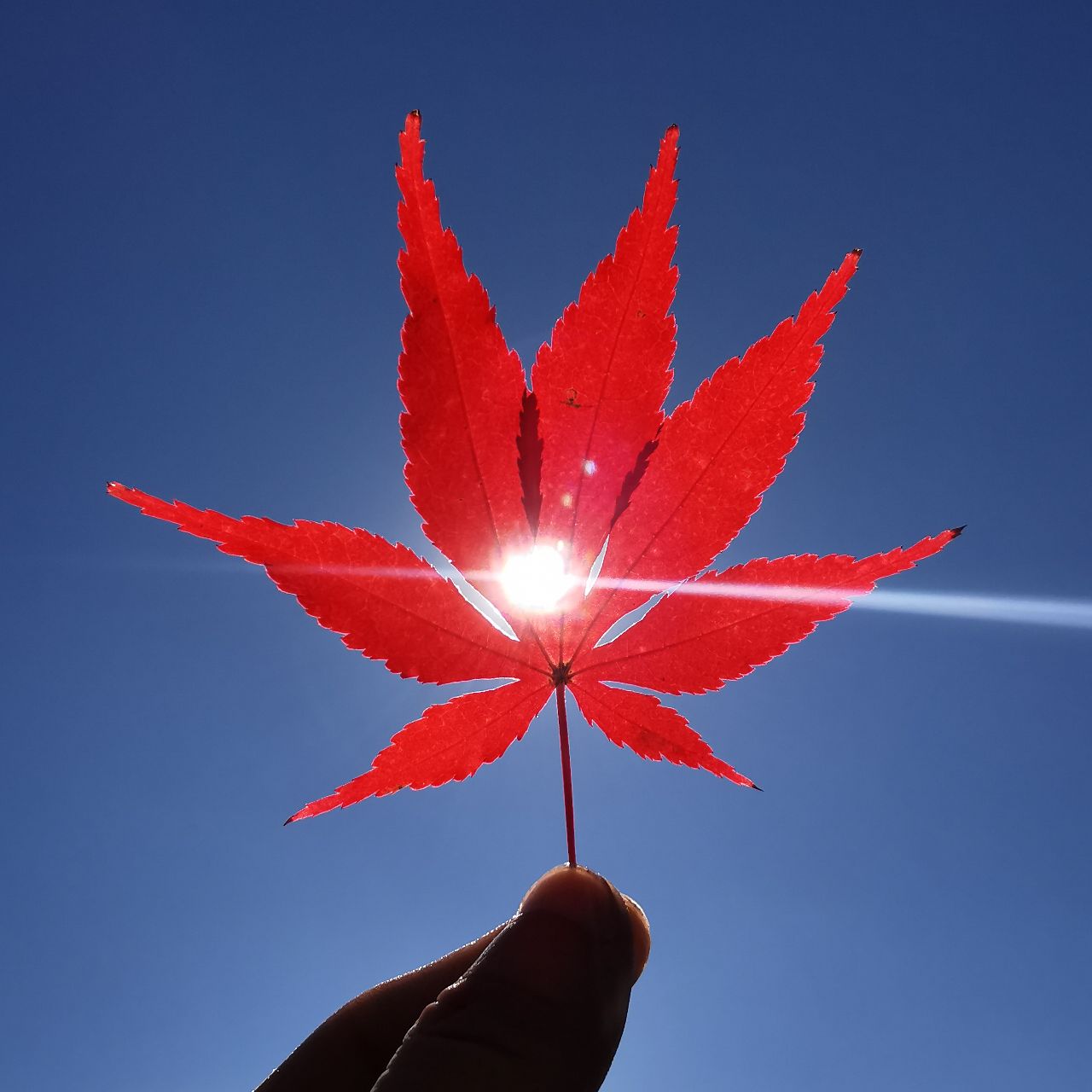 摄影爱好者冬旭