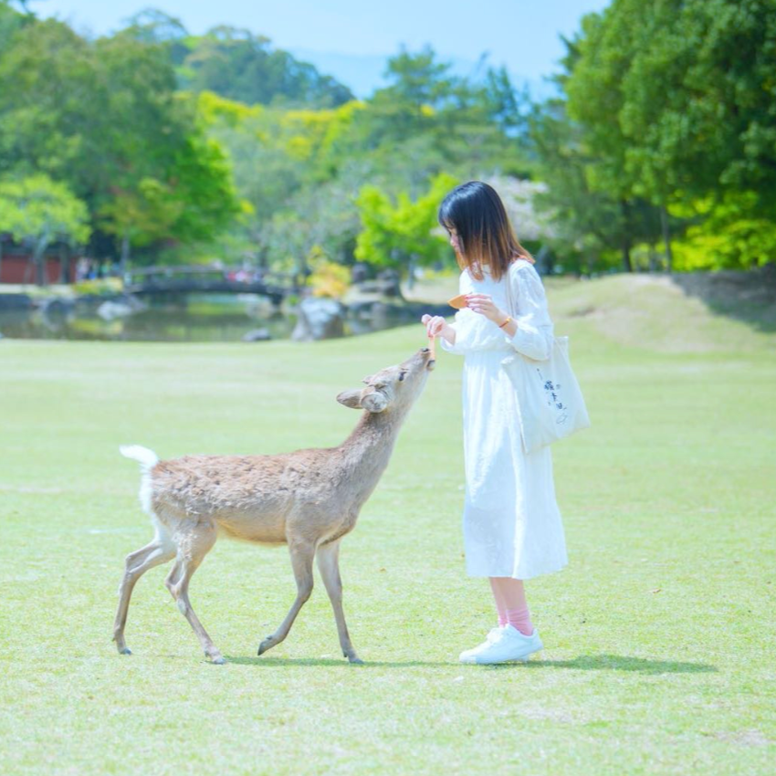 北小欧