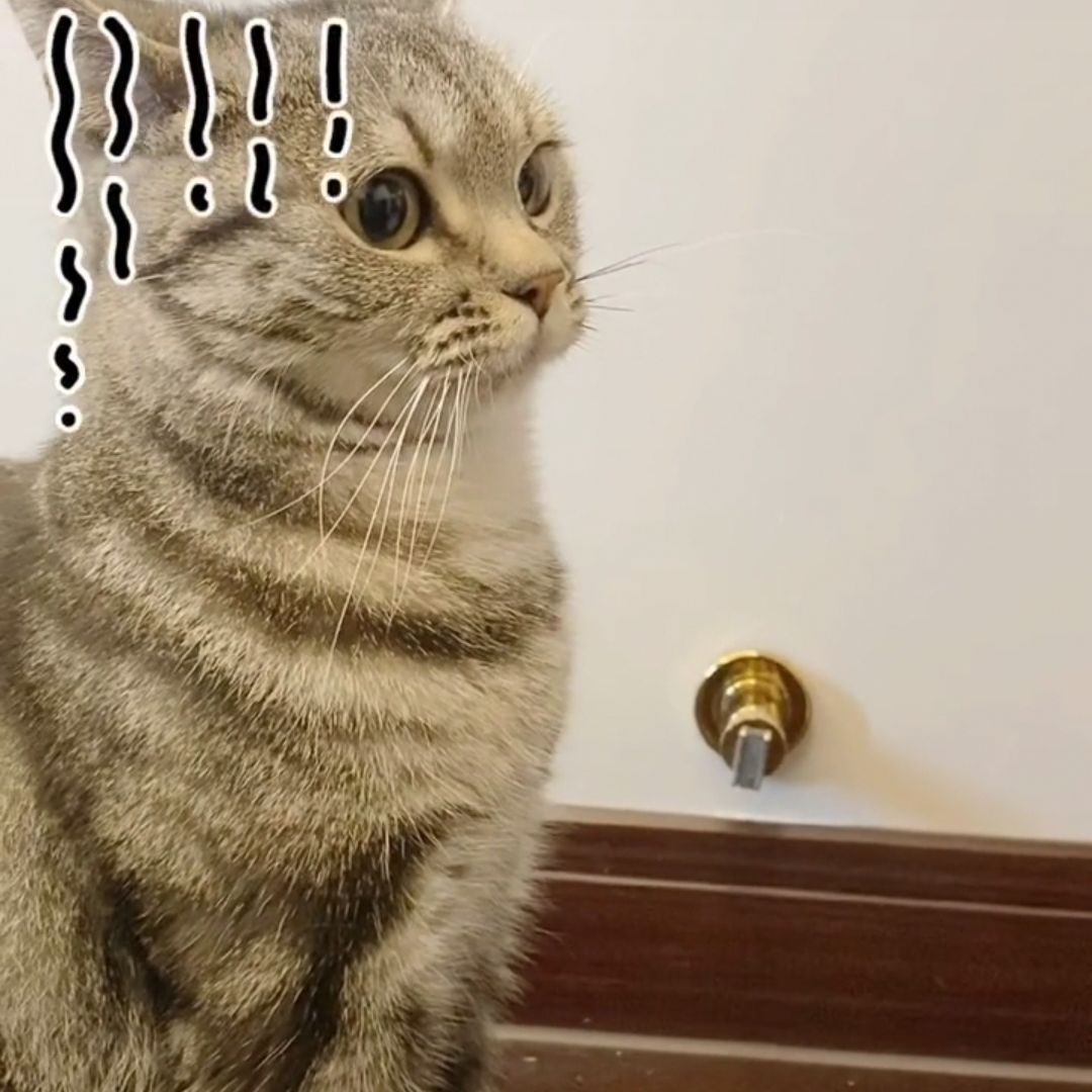 浦汴影视