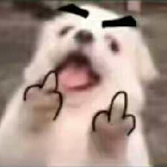 找靓机质检员翔翔