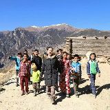 三只虫草丽君老师