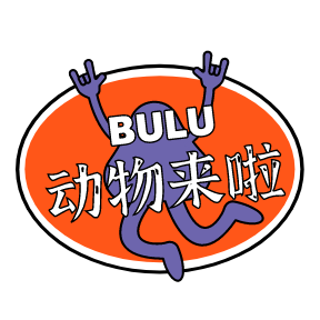 BULU动物来啦