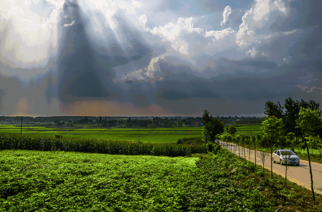 细看一下咱们全市的雨量分布图,今天可算感受到