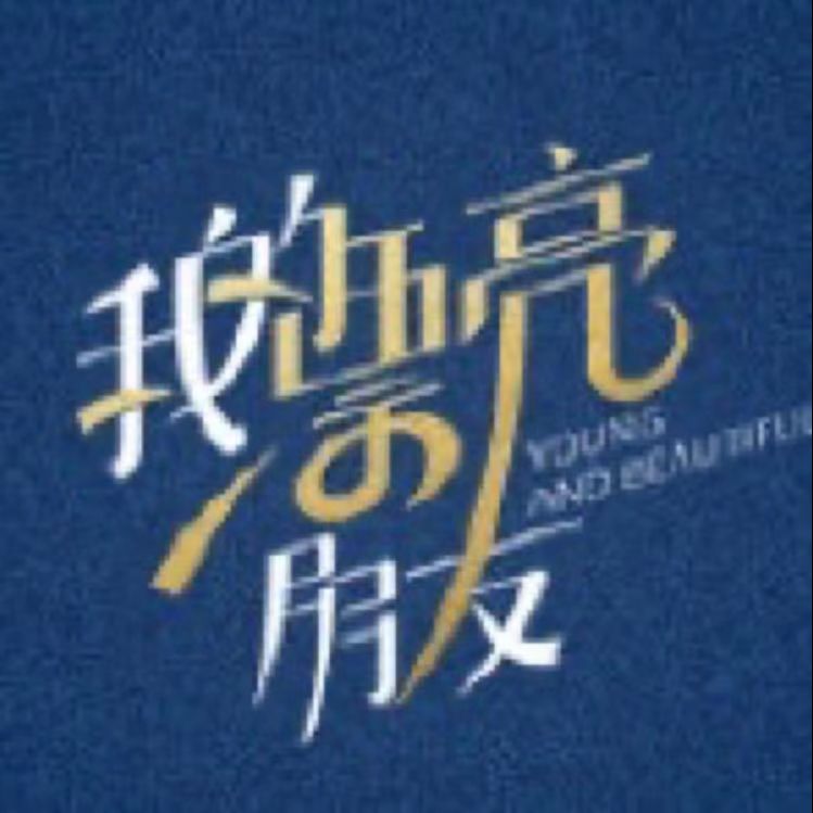 电视剧我的漂亮朋友