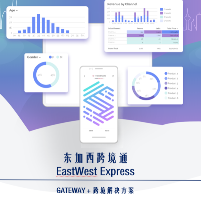 东加西跨境通