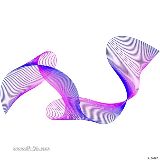 卟啉卟啉小明星