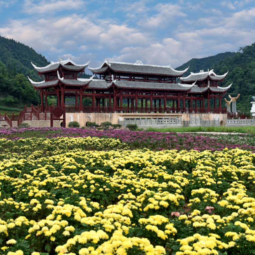 蔺州田园
