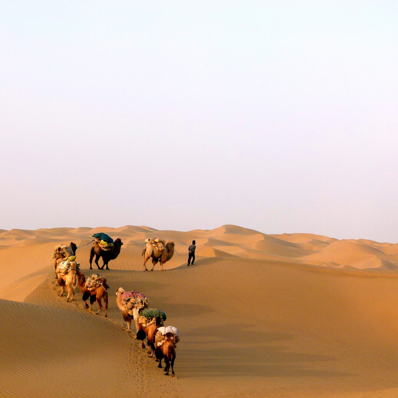 环球行者汝志刚