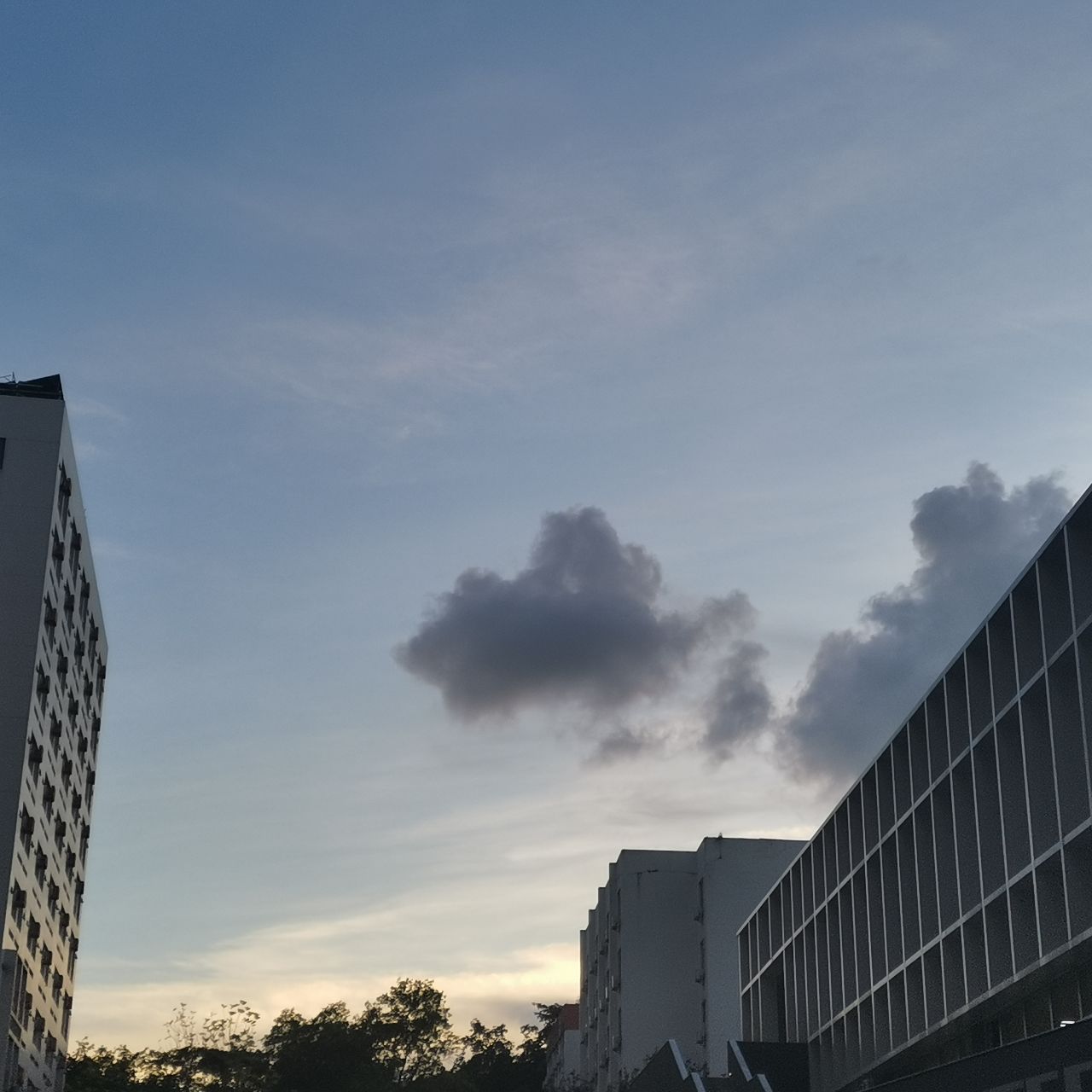 吴焱其