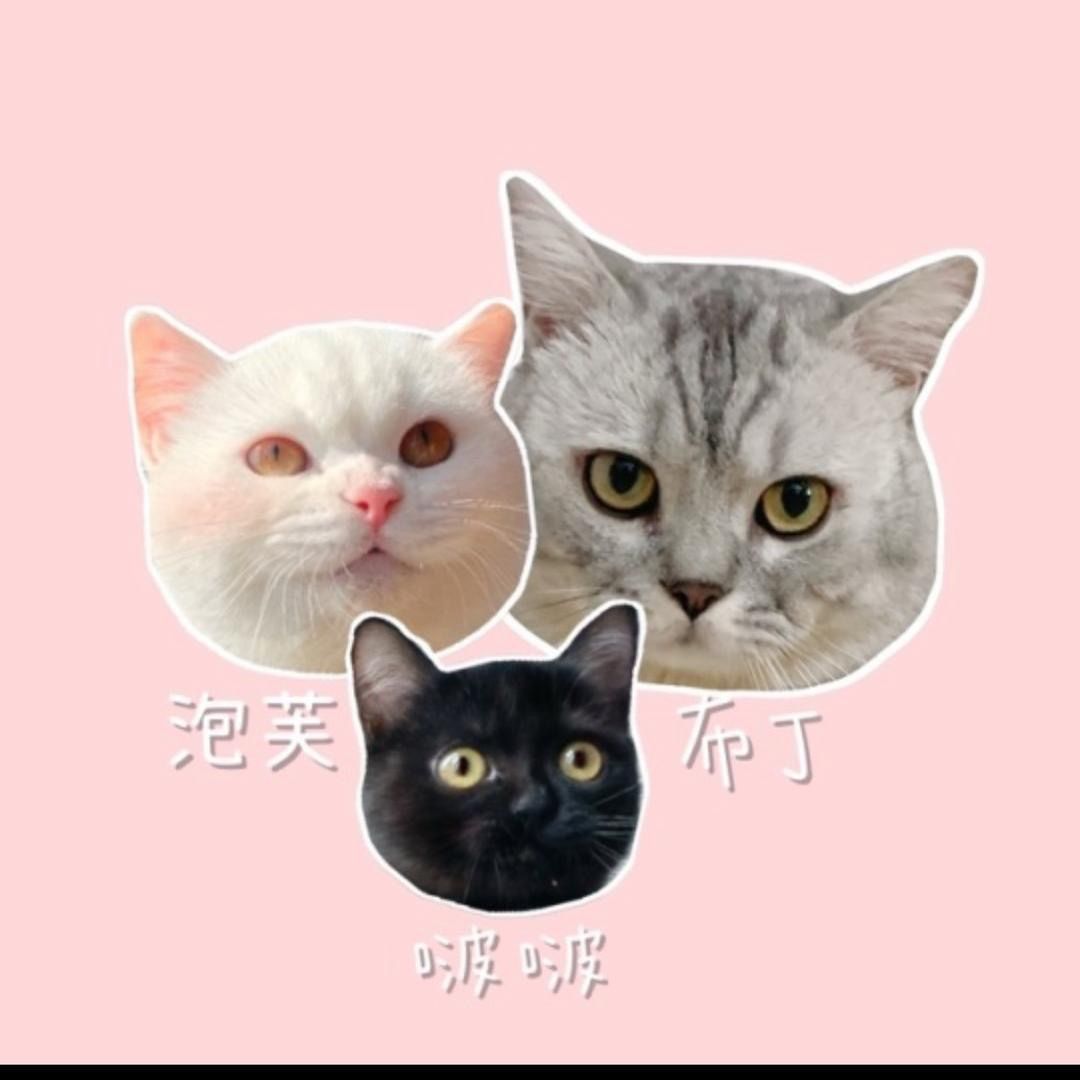 布丁仔和泡芙妹的一天