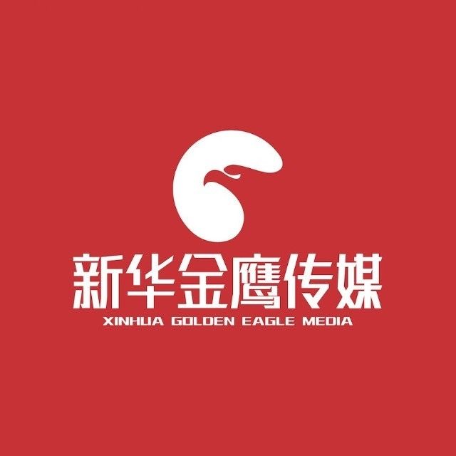 新华金鹰传媒