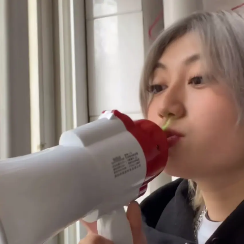 顾蚊子