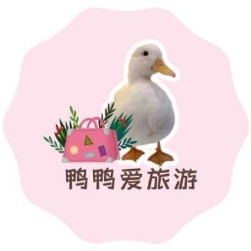鸭鸭旅行