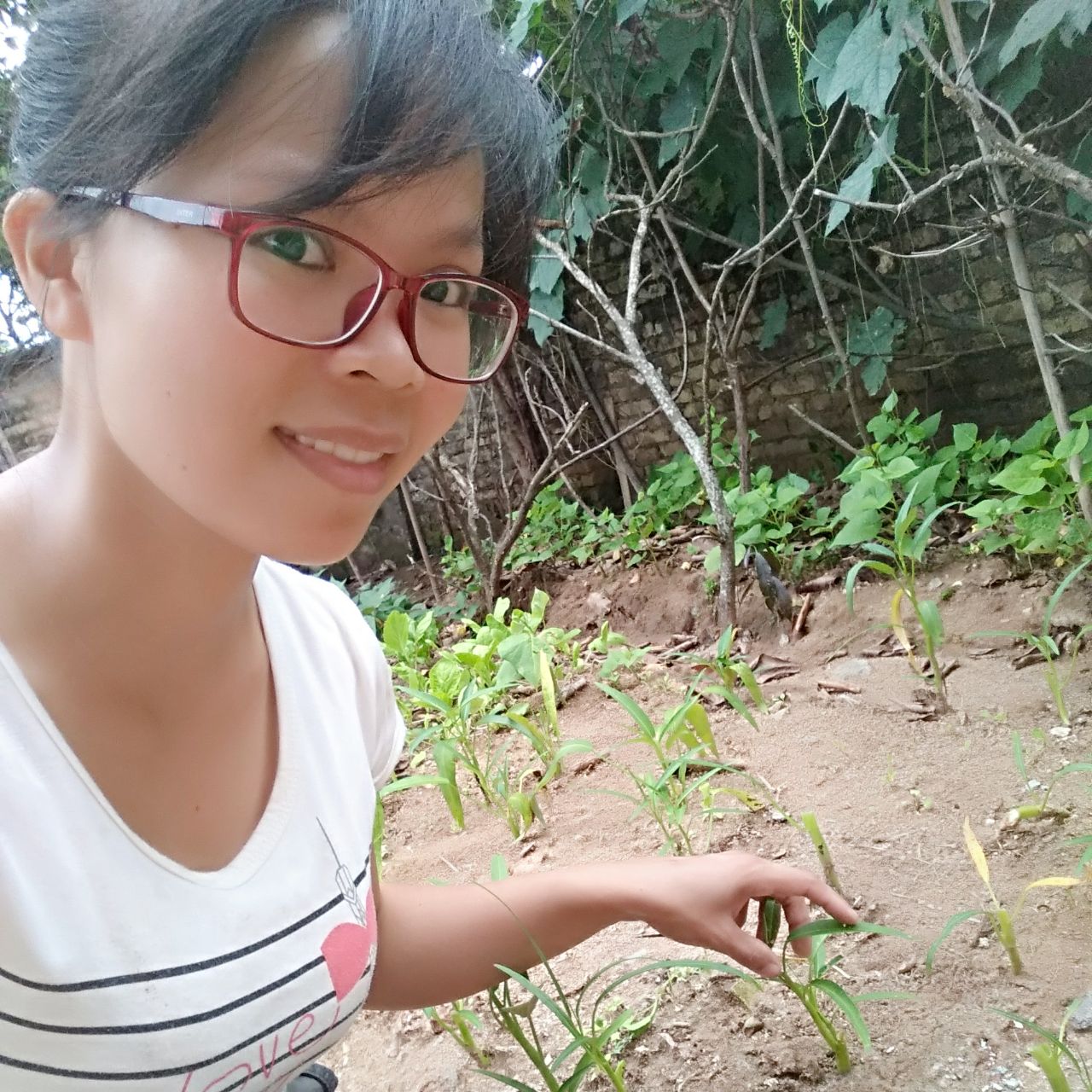 乡居小菜