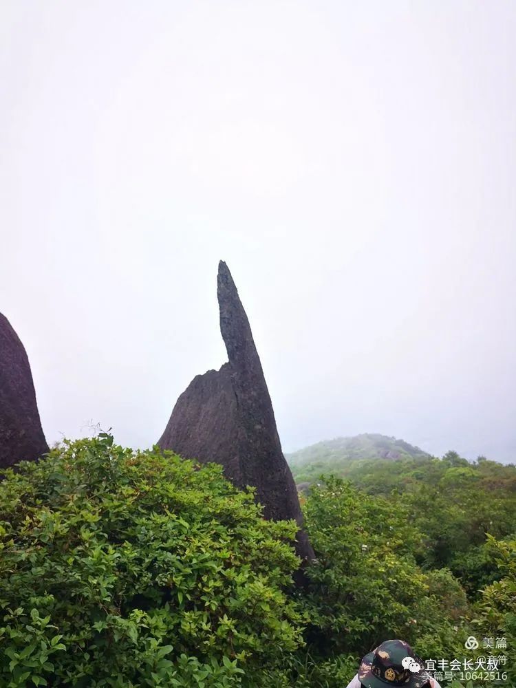 宜丰官山自然保护区图片