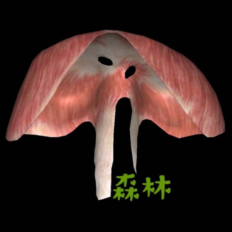 运动康复姜波