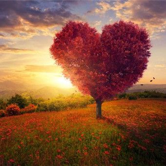 远方灯火听声眠