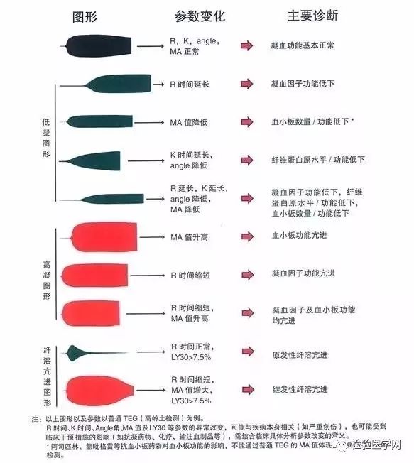 sp程度表红肿图片