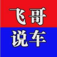 飞哥说车实话实说