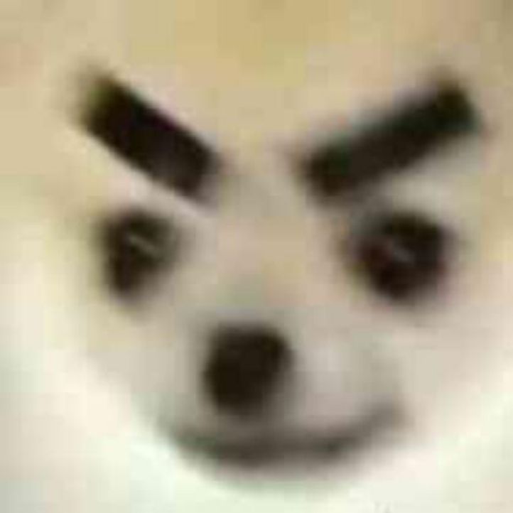 游离Zz