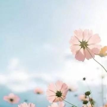 韩国媳妇小天娇