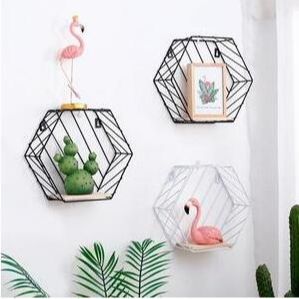 蓝秋坤坤侃娱乐