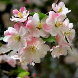 谁动了我的婚姻