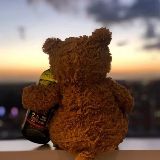一直正在掉秤的小熊