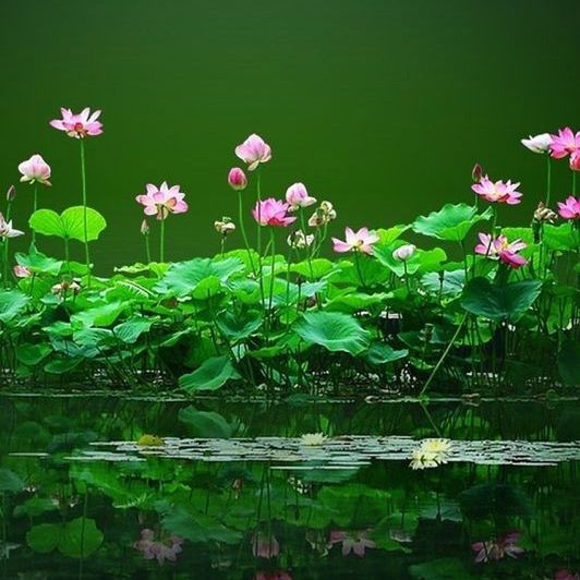 森淼小厨房