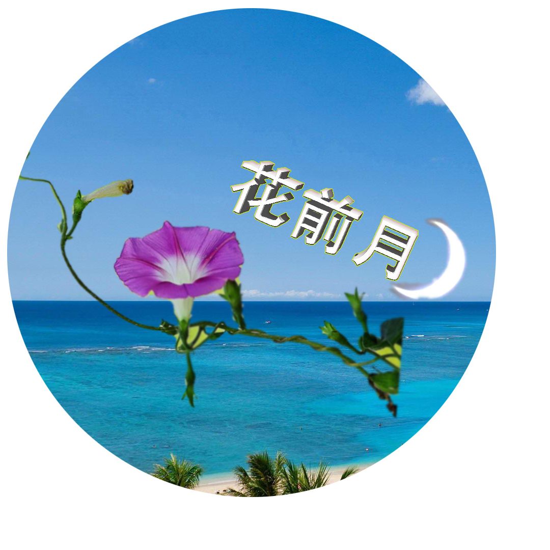 V花前月穿搭V