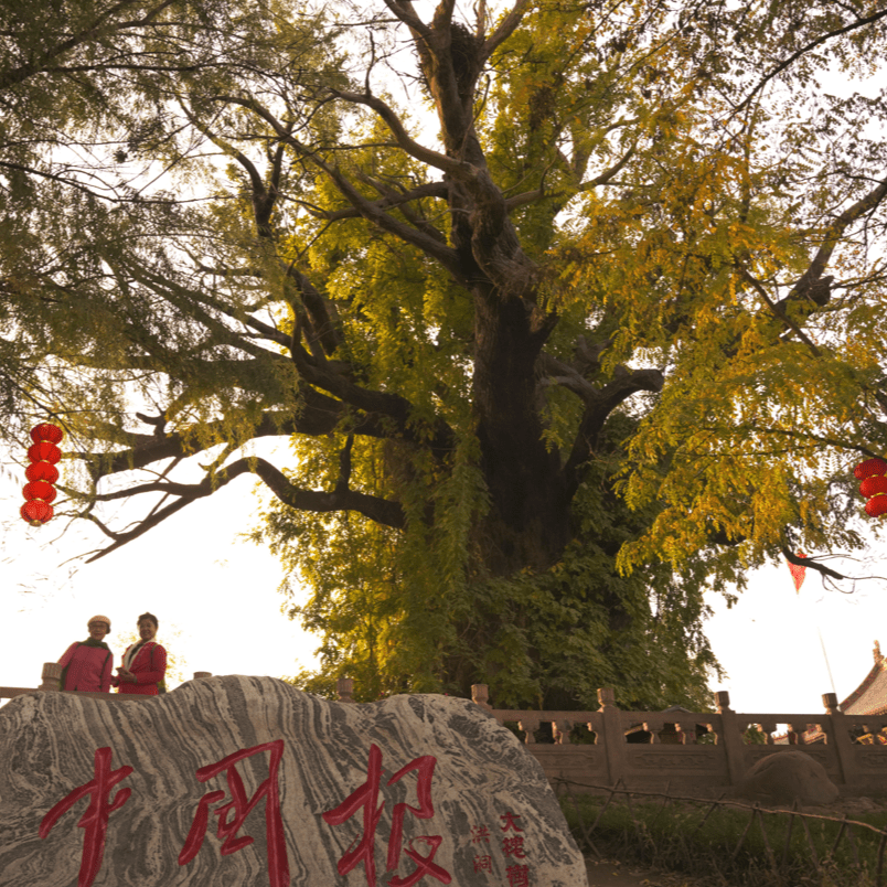 洪洞大槐树